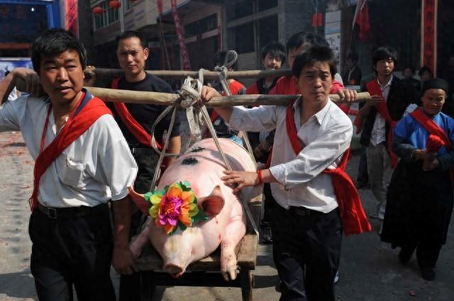 主人杀年猪，狗狗偷吃猪肉被撑死