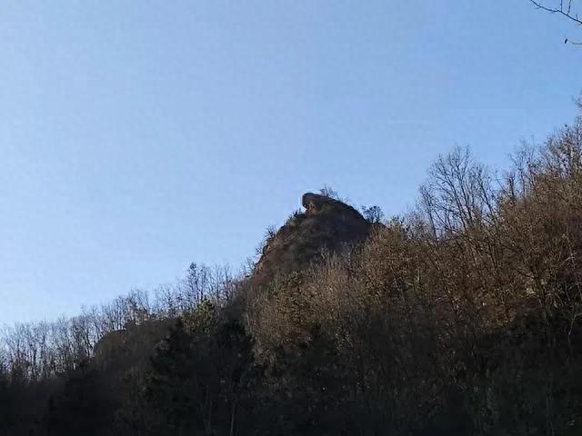 大鲵山娃娃鱼，寓意年年有余的吉祥之选